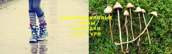 хмурый Алзамай